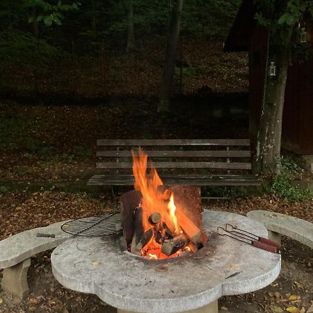 Treehouse Villa Padurea Neagra Eksteriør bilde