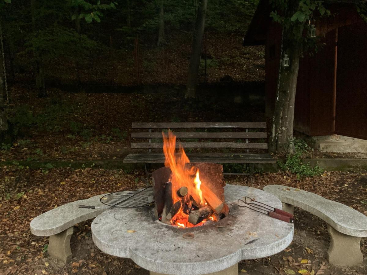 Treehouse Villa Padurea Neagra Eksteriør bilde